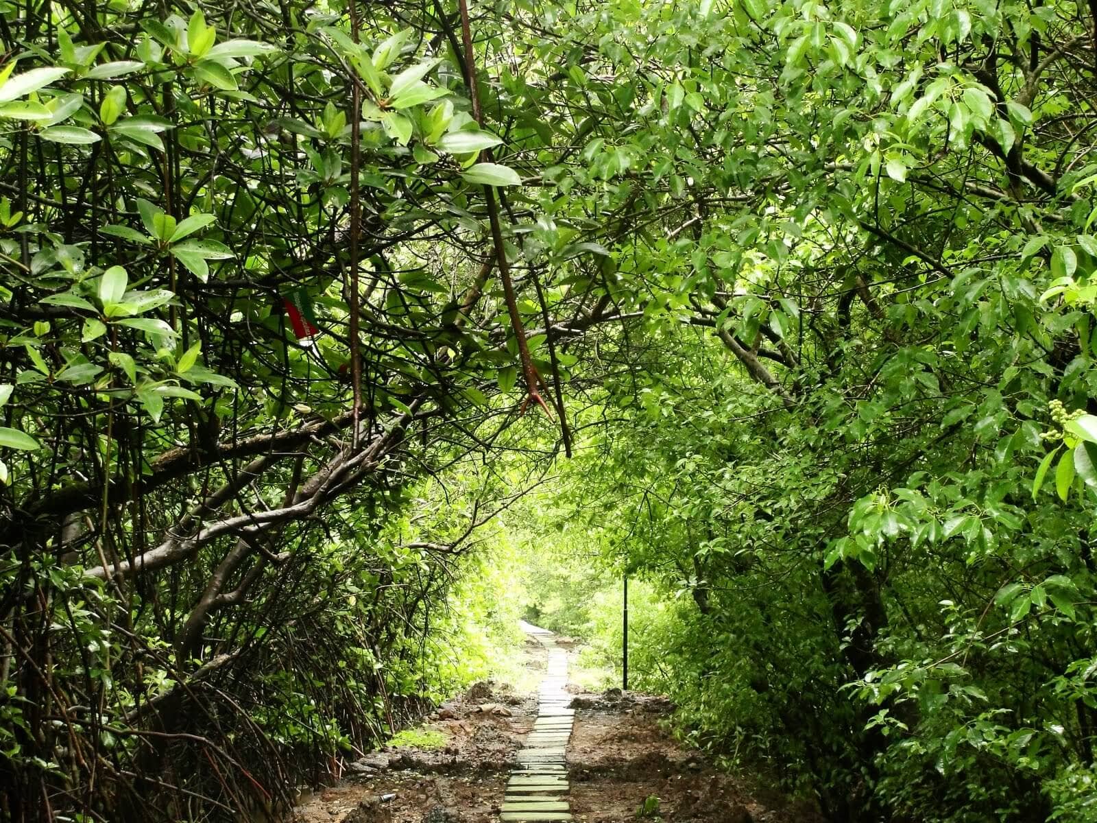 Dr Salim Ali Bird Sanctuary