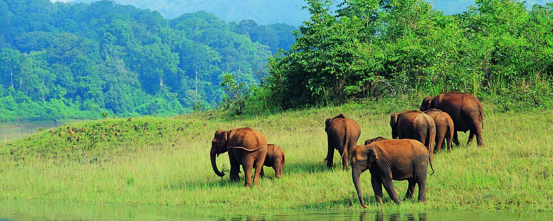 Bhagwan Mahavir Wildlife Sencturay