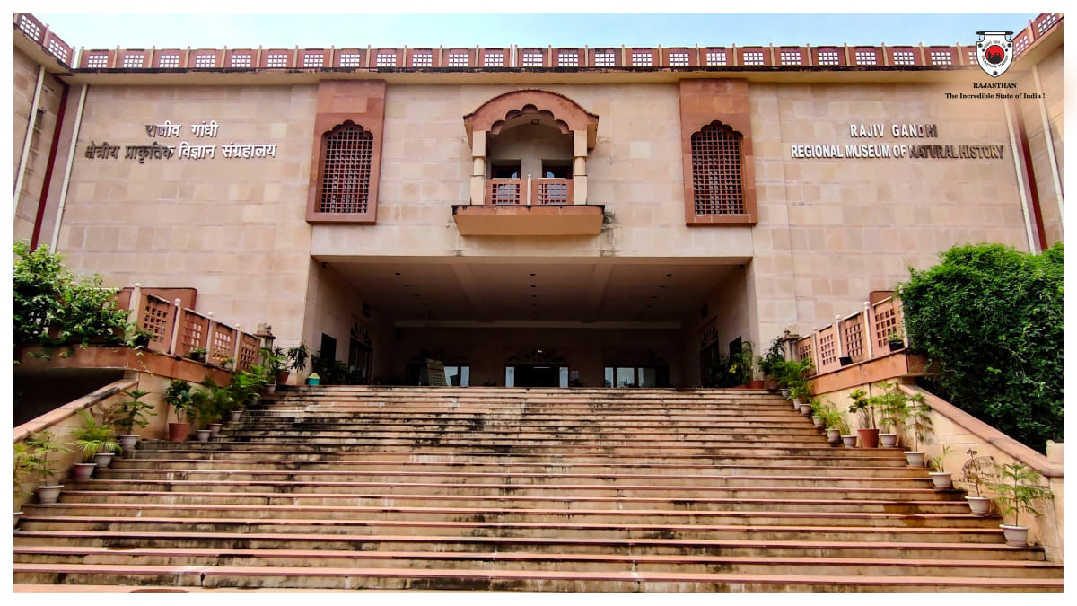 Rajiv Gandhi Regional Museum of Natural History