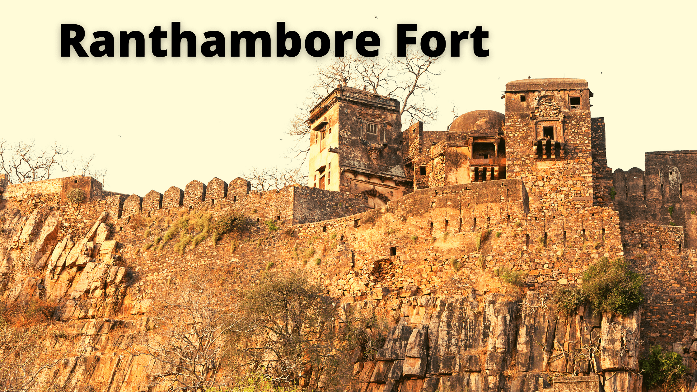 Ranthambhore