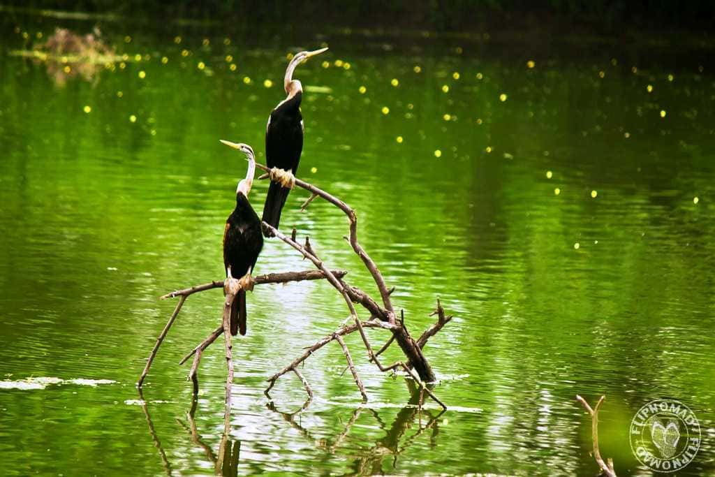 Keoladeo National Park