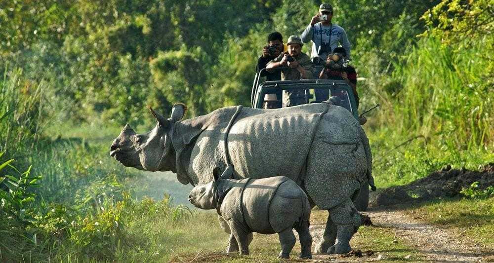 Manas National Park