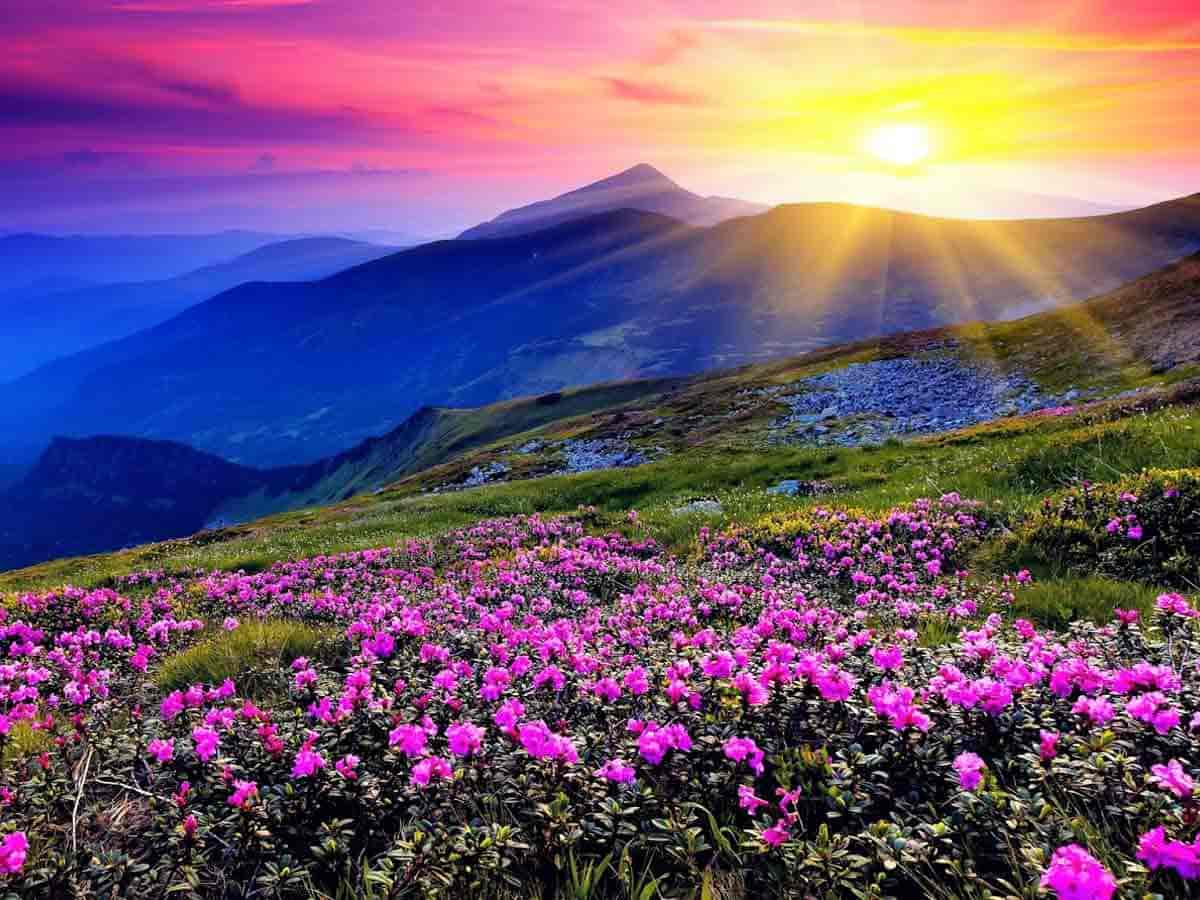 Nanda Devi