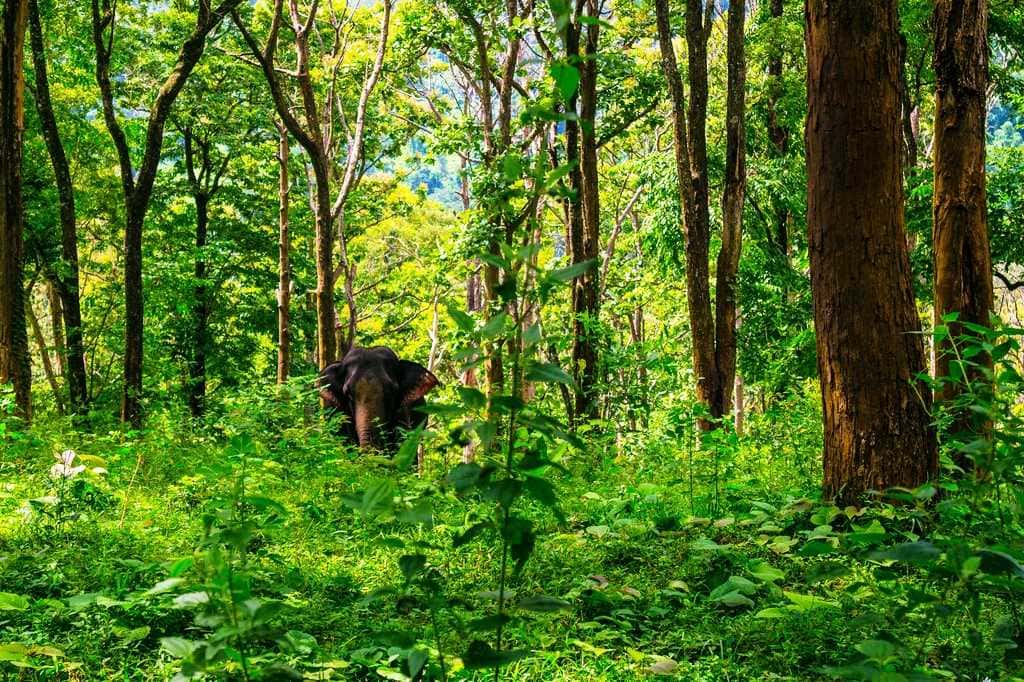 Western Ghats