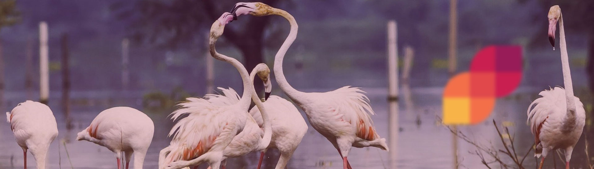 Bahartpur Natinoal Park