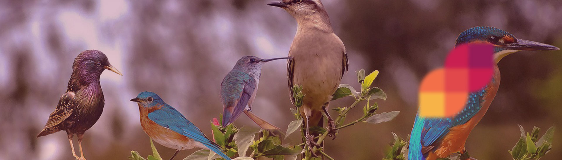 Manas Wild Sanctuary