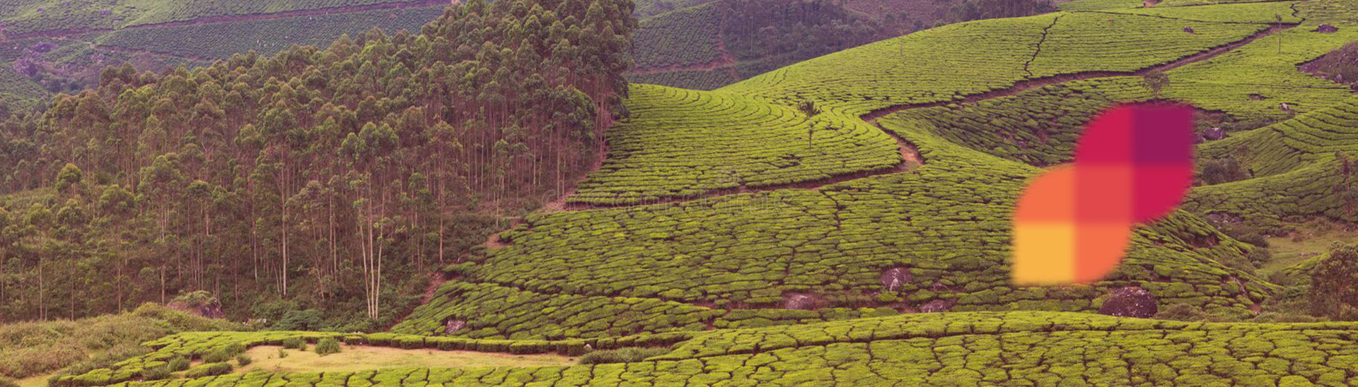 Wstern Ghats